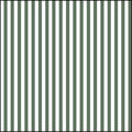 Stripes - Teal