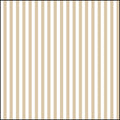 Stripes - Cream
