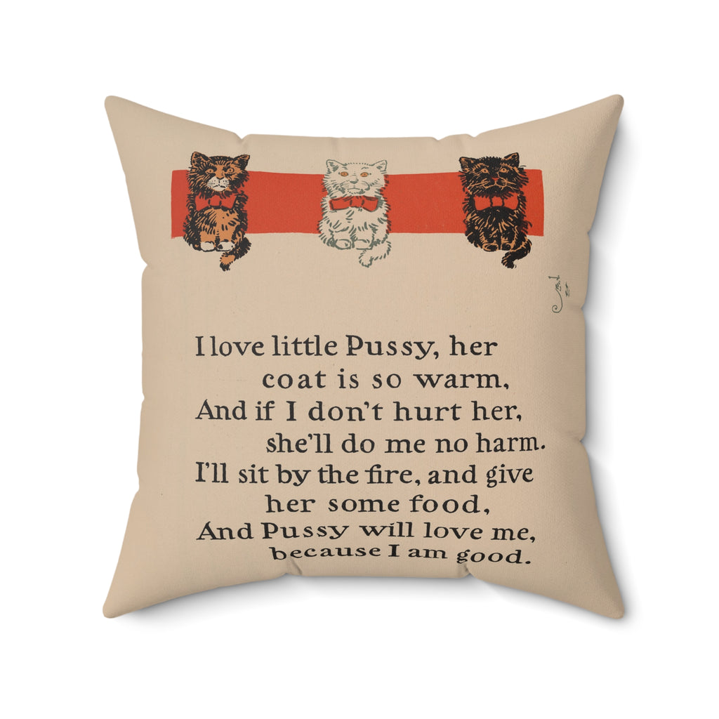 Be Kind to Your Kitty Throw Pillow