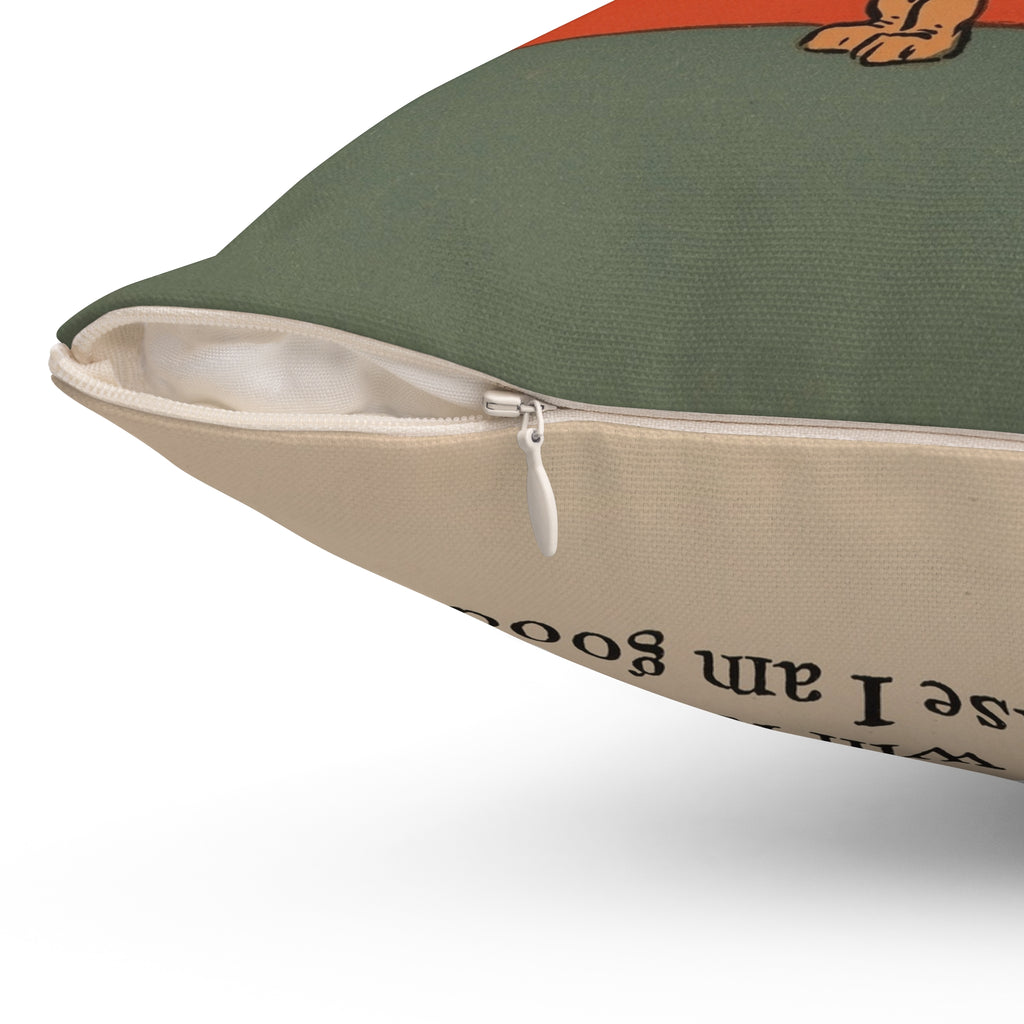 Be Kind to Your Kitty Throw Pillow